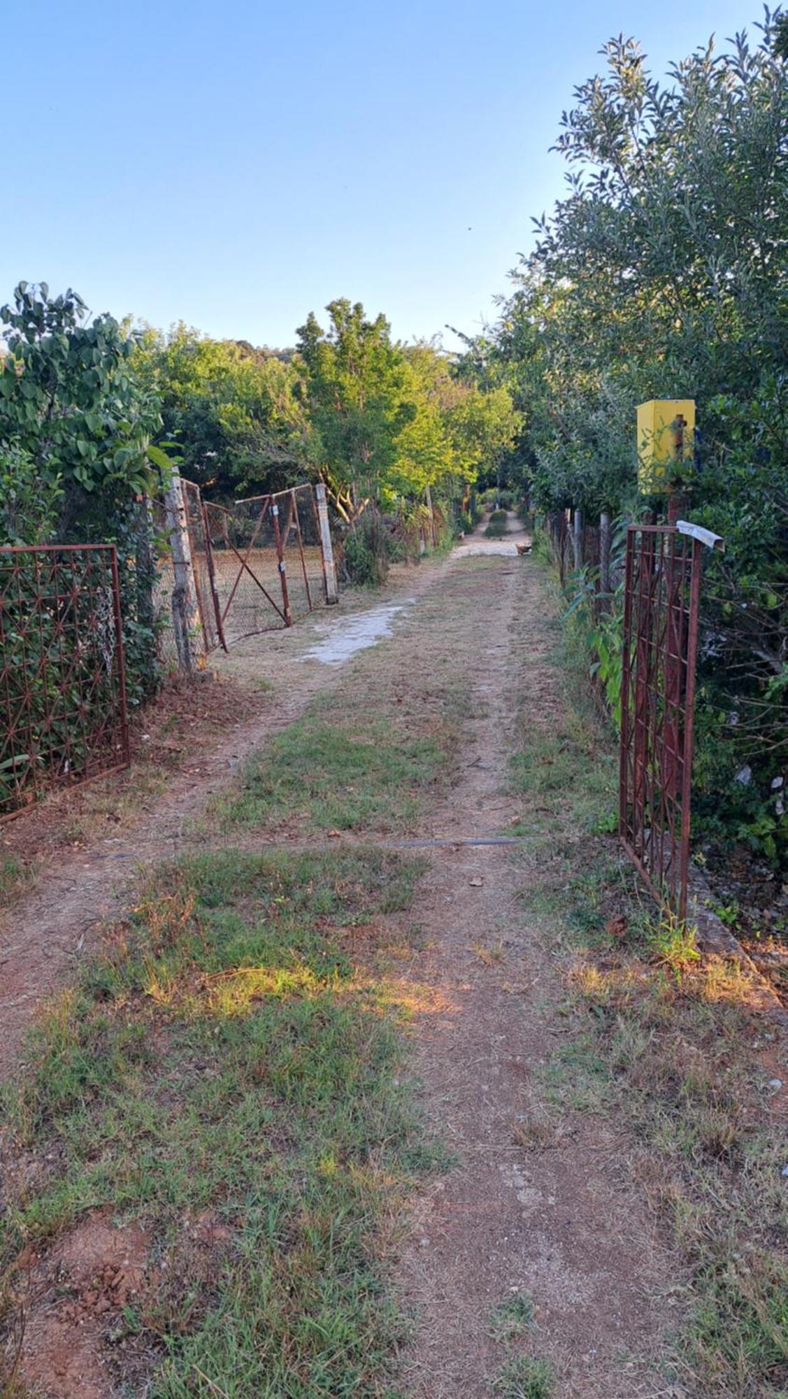 Kuca Za Odmor Mizi Villa Vintijan Dış mekan fotoğraf